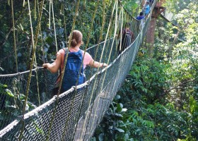 KidsReizen Maleisie Taman-Negara-hangbruggen-Gionne Maleisië - 2 weken vakantiepret 30pluskids