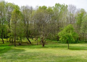 Bassiviere in de Lot-et-Garonne, Frankrijk speelbos Brockbernd Fotografie Bassivière Barn Chic 30pluskids