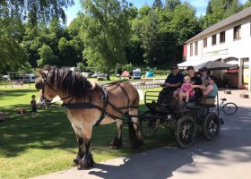 Huttopia Vallee de la Semois Ardennen Belgie paard en wagen Camping Huttopia Vallée de la Semois – Ardennes 30pluskids