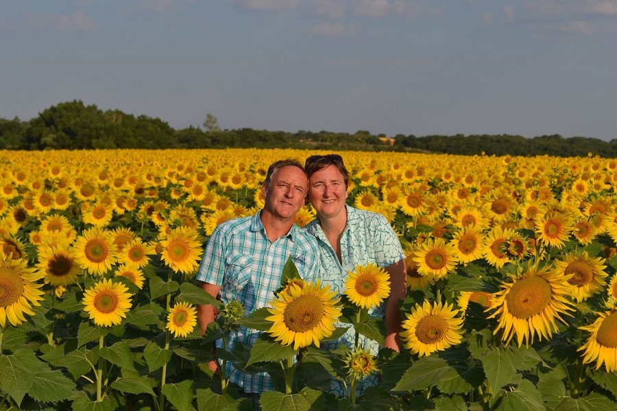 domaine las brugues in de aude frankrijk eigenaren in zonnebloemveld - 30pluskids