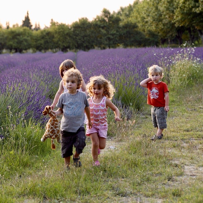domaine les platanes kinderen lavendelveld 700 vierkantjpg - 30pluskids