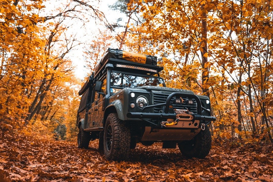 landrover dream holiday nederland landrover in bos landscape 2 - 30pluskids