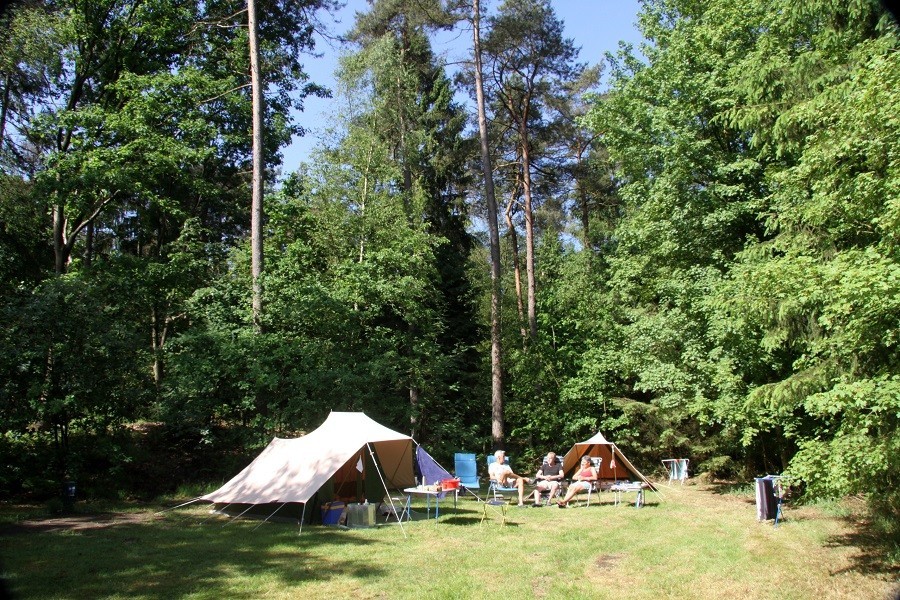 vlintenholt in drenthe nederland kamperen in het groen 3 - 30pluskids