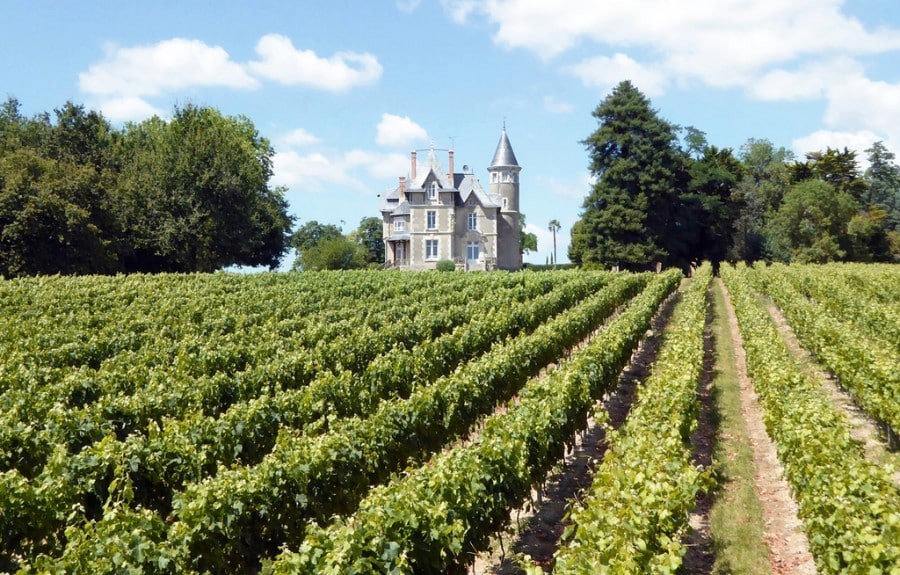 Chateau Breduriere 2016 - 30pluskids