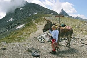 Met Ezeltjetrekje door de Italiaanse Alpen
