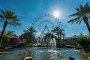 Ferris wheel in Orlando Florida met palmbomen