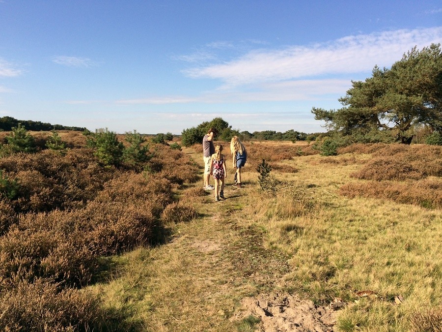 herfst bos en duingebied - 30pluskids