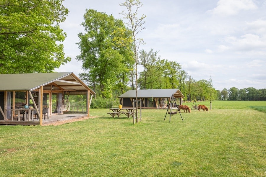 landrijk de reesprong in twente nederland lodges en ponys 7 - 30pluskids