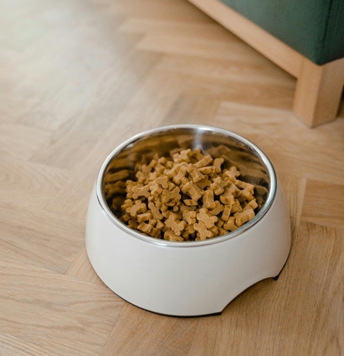 lequal foto bij blog kattenvoer - 30pluskids