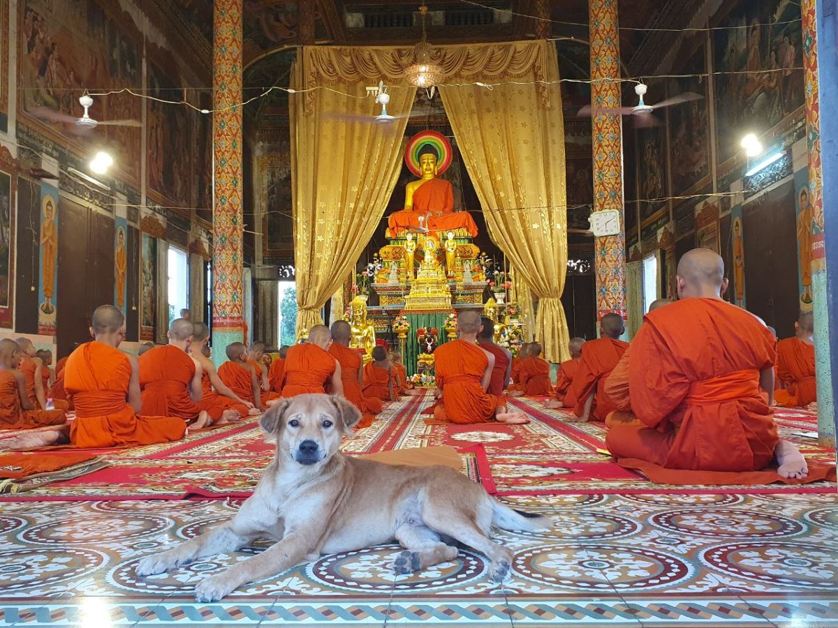 Local hero travel rondreis vietnam rondreis vietnam en cambodja reiziger lucia