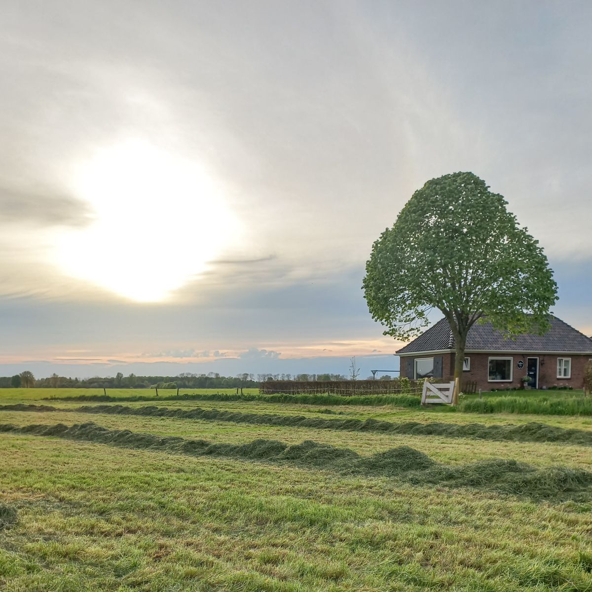 Landelijk gelegen kindvriendelijke accommodatie op de grens van de Achterhoek en de Veluwe