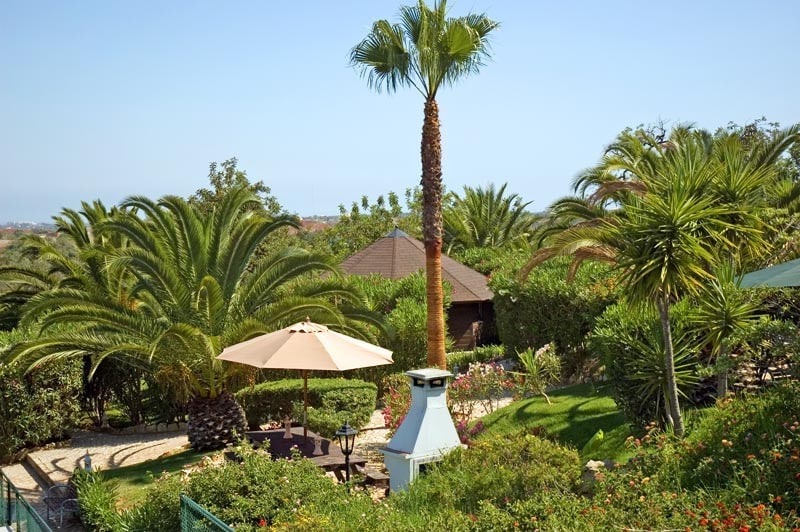 vila do ouro huisje met palmbomen - 30pluskids