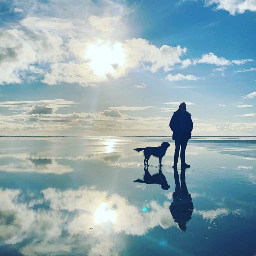 villa schier op schiermonnikoog waddeneilanden nederland hond strand - 30pluskids
