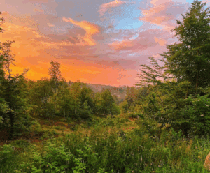 Zonsondergang over de Deense natuur bij een Vodatent glamping, met warme kleuren en rustgevende sfeer