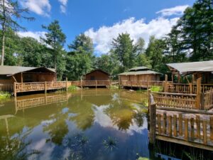 Safaritenten van Vodatent aan het water tijdens glamping in Nederland, ideaal voor gezinnen in de natuur