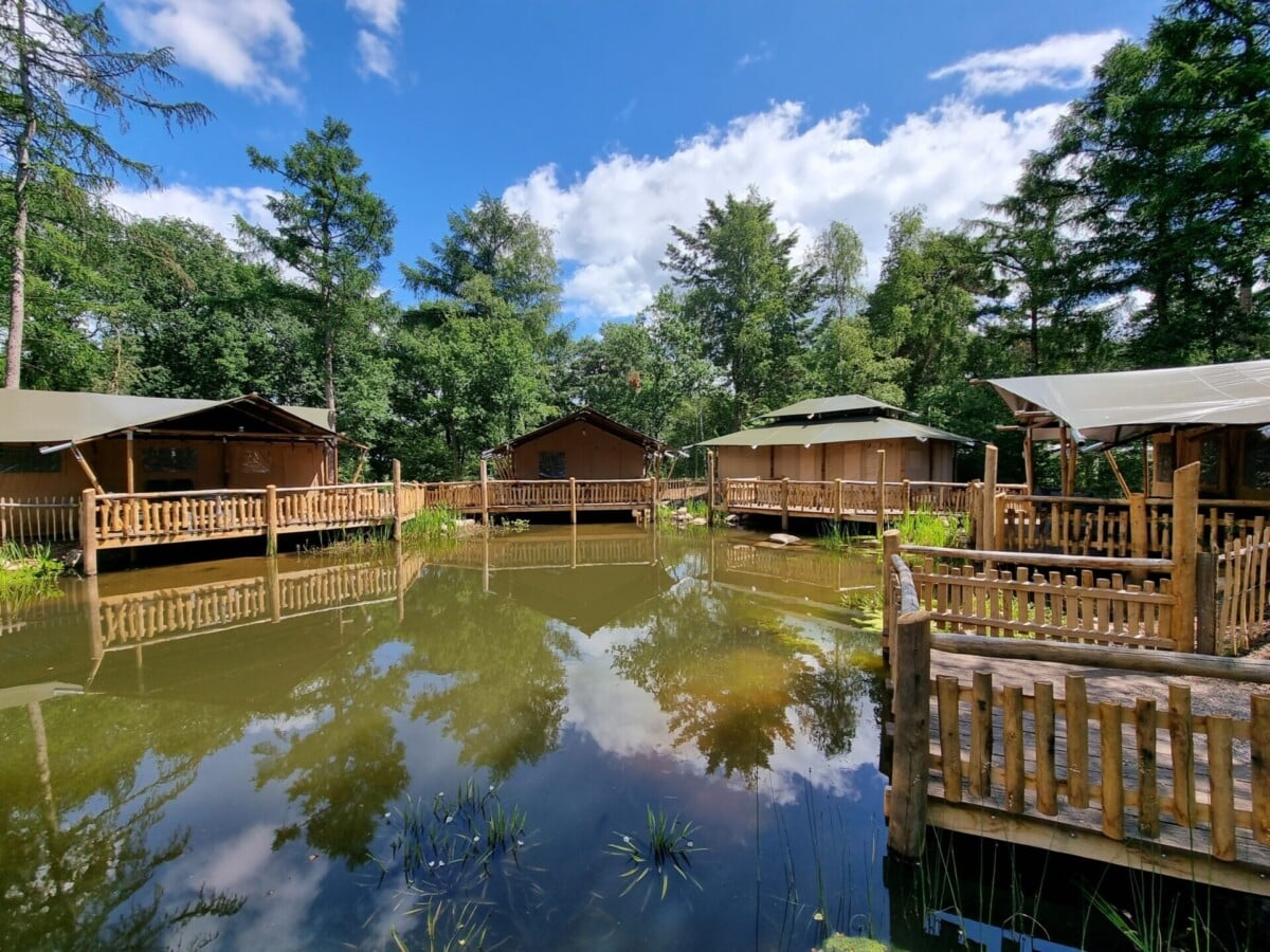 Safaritenten van Vodatent aan het water tijdens glamping in Nederland, ideaal voor gezinnen in de natuur