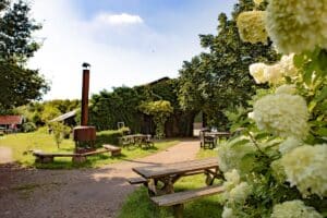 Groen terrein bij BoerenBed De Lange Weide in Drenthe