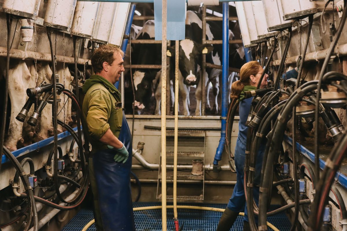 De eigenaren van BoerenBed De Oude Melkstal in Noord-Brabant