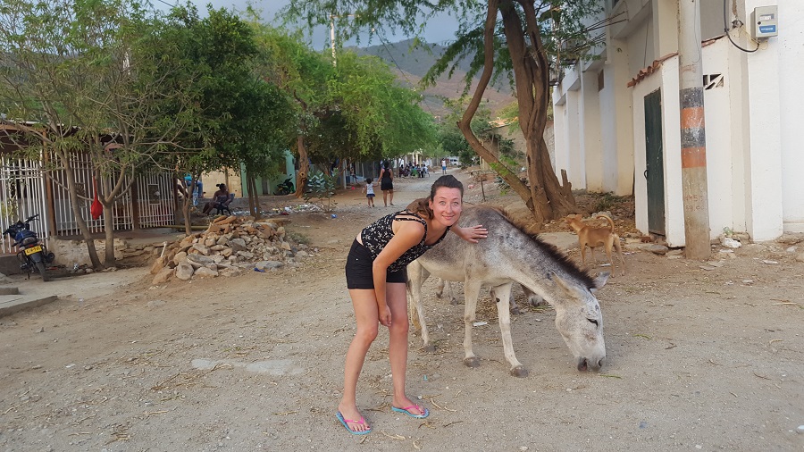 Colombia met kinderen ezel colombia rondreis 4 local hero travel