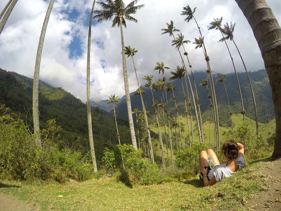 Colombia met kinderen palmbomen colombia rondreis 13 local hero travel