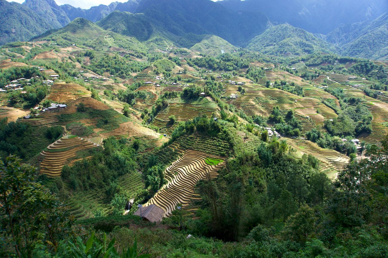Een rondreis door vietnam vol cultuur natuur en contrasten artikel 19630 afbeelding