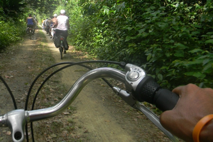 Local hero travel suriname familierondreis