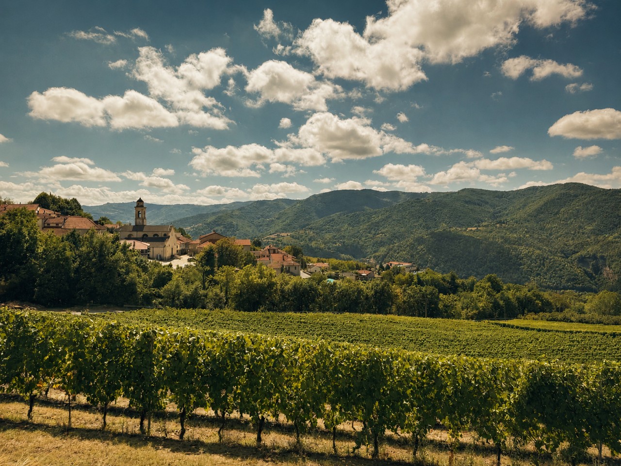 Casa staccata in piemonte italie wijnranken